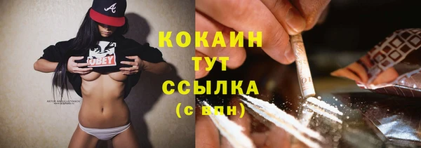 PSILOCYBIN Балахна