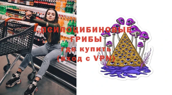 PSILOCYBIN Балахна