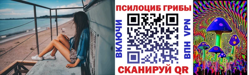 Купить закладки  Россошь  Галлюциногенные грибы мицелий 